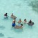 A group of people standing in chest deep water with stingrays in front of them